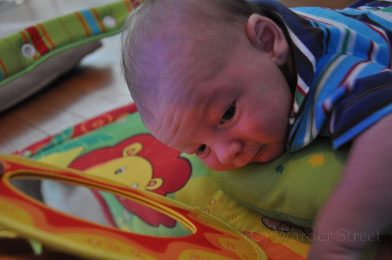 William's Fifth Week 02.jpg